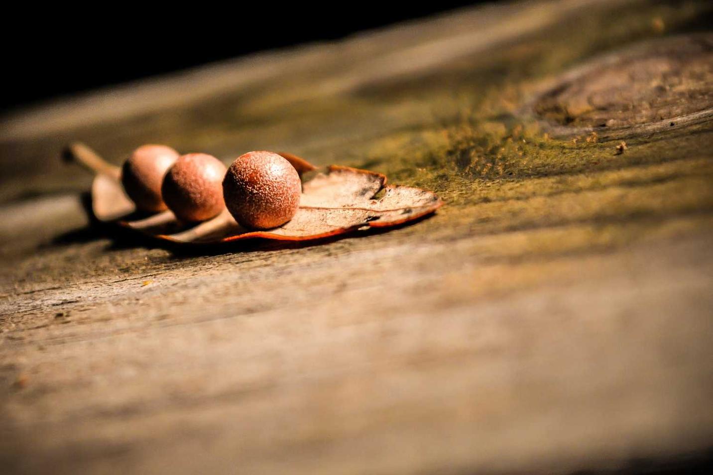 Eos odio totam sit nulla error ut voluptatem