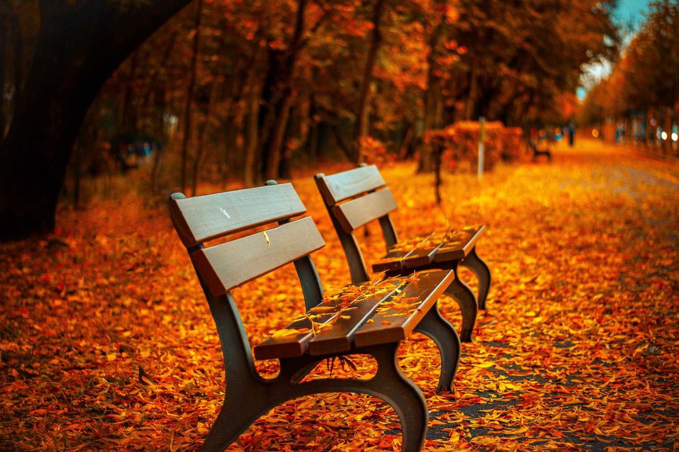Inventore minima dolorem sit