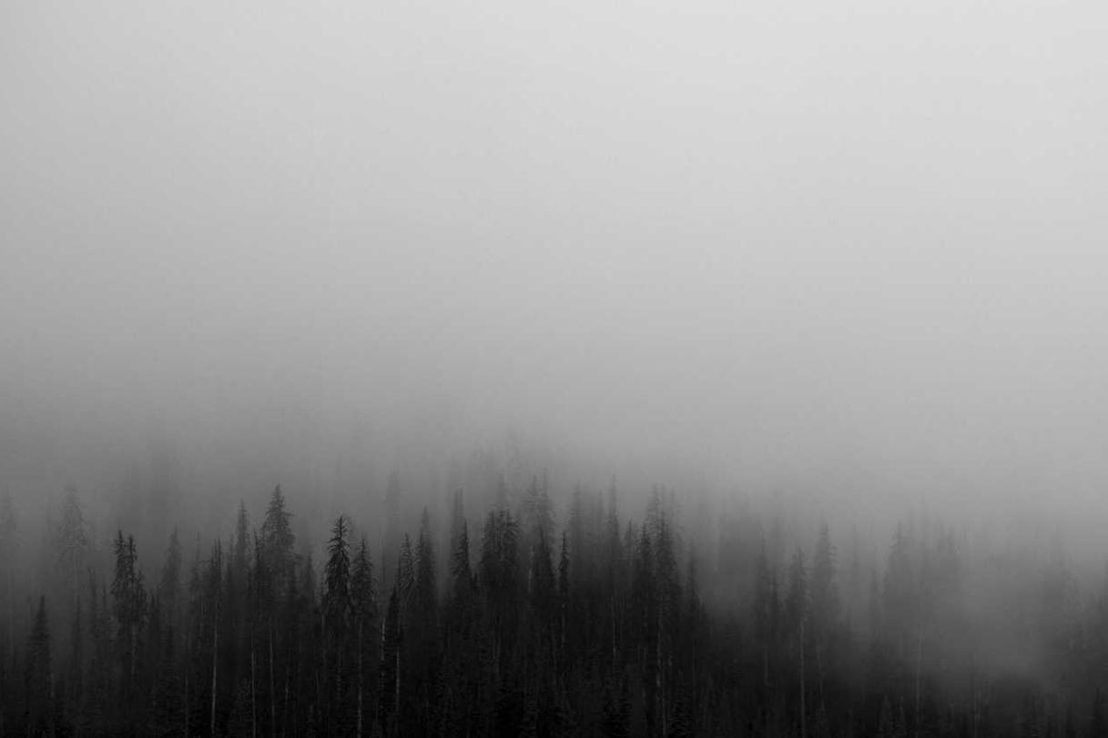 Error id dolor ut sit eius debitis ipsum ipsum